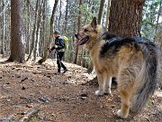 33 E qui camminiamo in bella abetaia